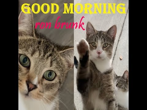 Good Morning - Full Video